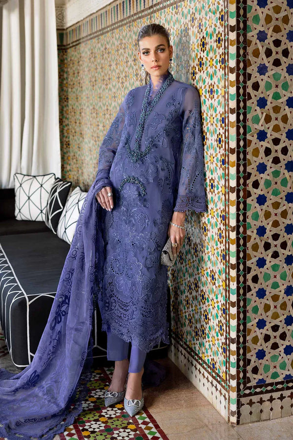 Embroidered Organza Suit | D-2506-B