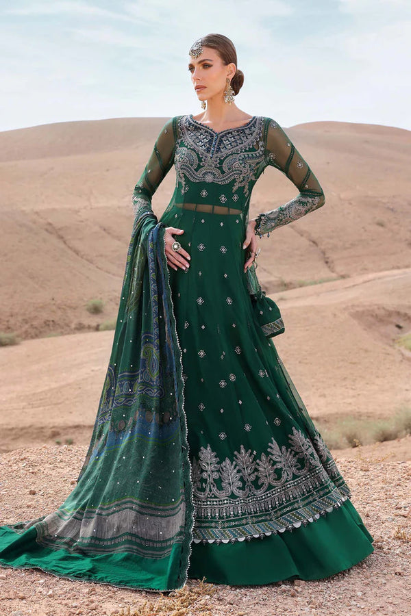 Embroidered Net Suit | D-2507-A